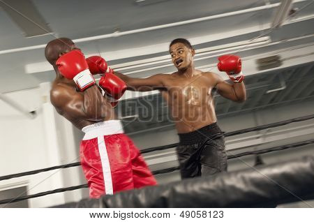 Due pugili combattono in anello