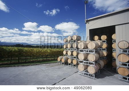 Vini conservati in botti al vigneto Yarra Valley Victoria Australia.