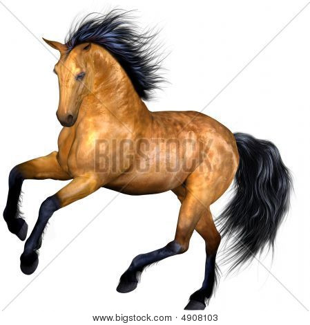 Smuk hest