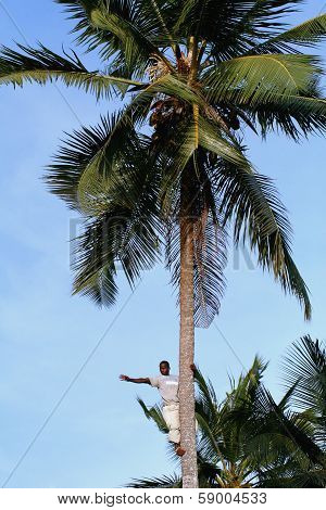 Dark-skinned African People Waves His Hand From Top Of Palm.