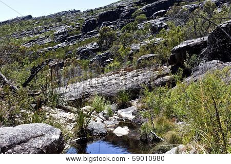 The Grampians
