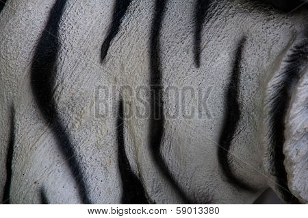 Tigerpattern
