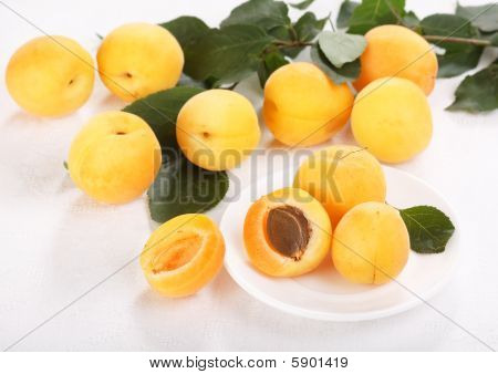 albicocche