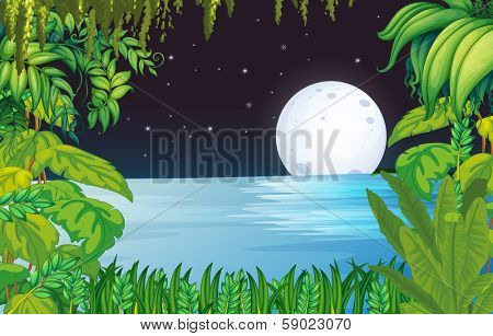 Illustration of a lake in the forest under the bright fullmoon