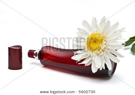 Profumo apri bottiglia e Margherita decorazione