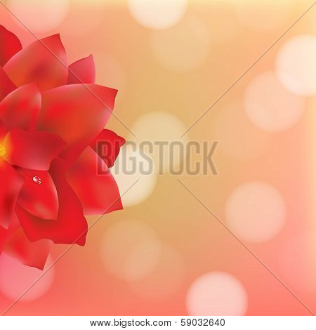 Red Flower With Water Drops Bokeh, With Gradient Mesh, Vector Illustration