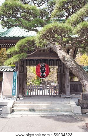 Red Lantern In Front Of Temple Kamakura