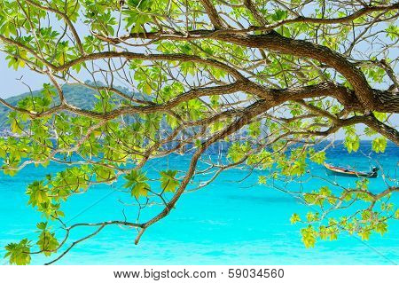Tree On Beautiful Blue Sea In Background From South Thailand, Asia