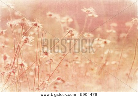 코코넛 종이에 여름 풀밭을 머 금고