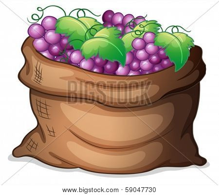 Illustration of a sack of grapes on a white background