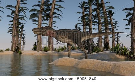tarbosaurus on shore