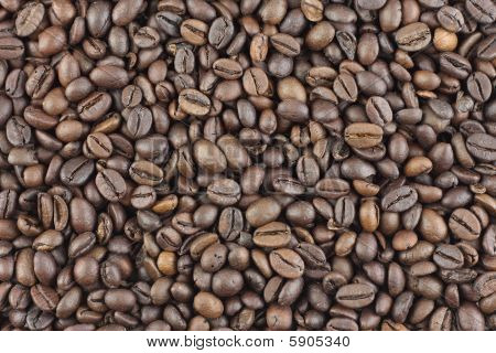 Grãos de café