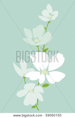 Spring flowers