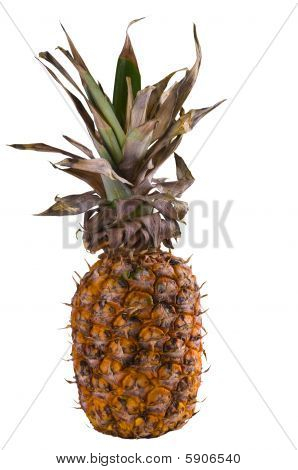 Ananas