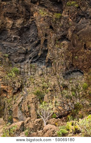 Volcanic Gorge