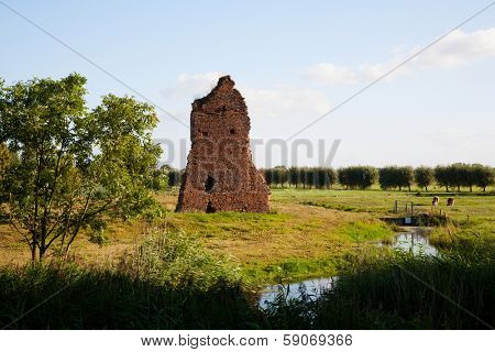 Castle ruin 