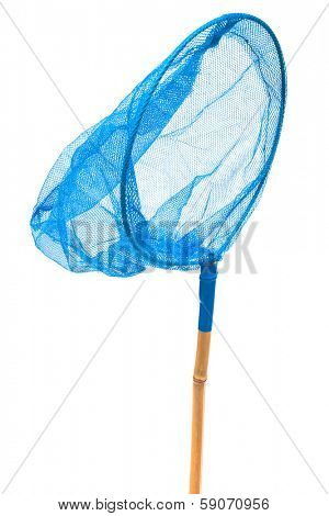blue insect net on a white background