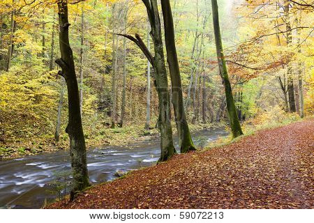 Metuje river in autumn, Czech Republic