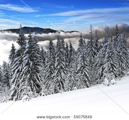 A Frosty Day Is In Mountains