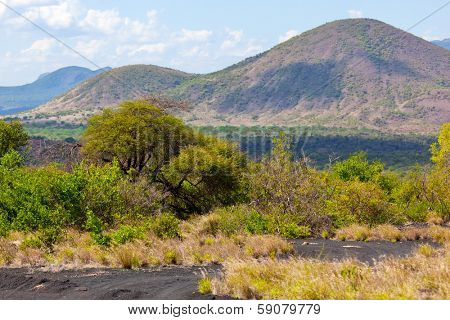 Bush and savanna landscape in Africa. Tsavo West, Kenya.