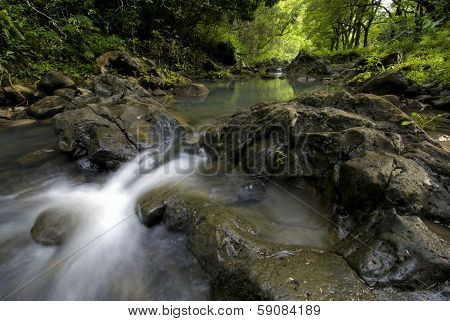 Pi'ina'au stream in the Ke'anae Arboretum, Maui, Hawaii