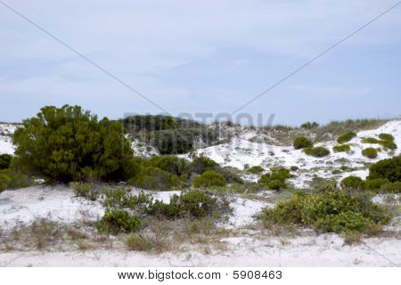 Dune di sabbia bianca