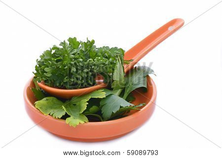 A spoon and saucer of parsley