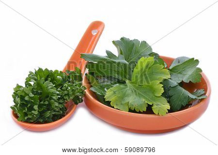A spoon and saucer of parsley