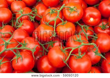 Red Ripe Tomatoes