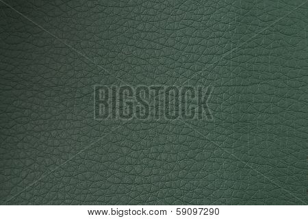 Green Leather Texture Closeup