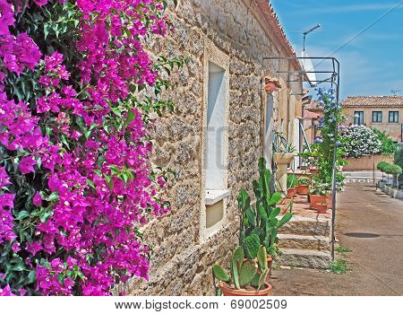 Narrow Street
