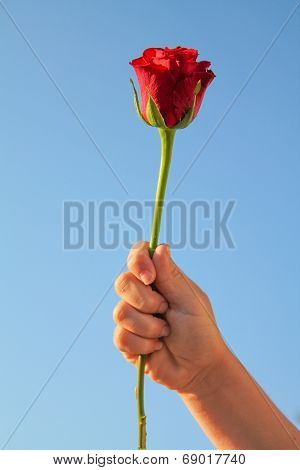 A gift from an admirer