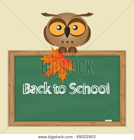 Funny Owl With School Board