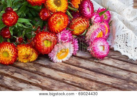 Bouquet of Everlasting flowers on table