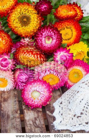 Bouquet of Everlasting flowers on table