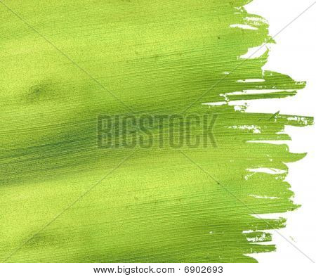 Sfondo carta cocco verde