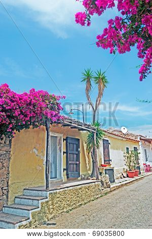 Desert Street