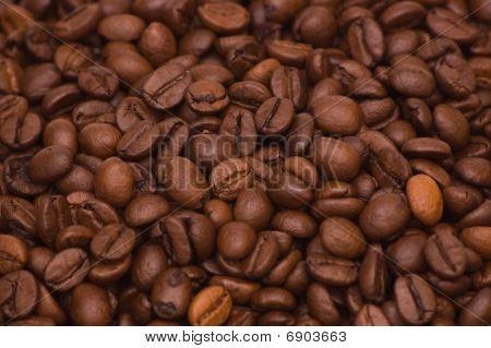 Kaffeebohnen