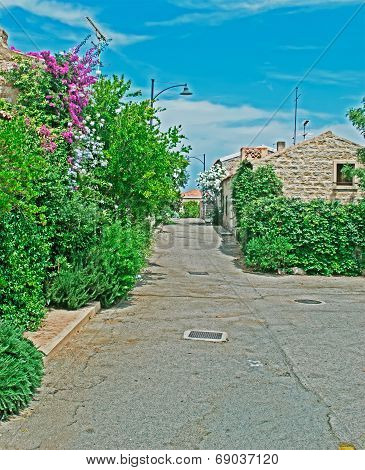Picturesque Street