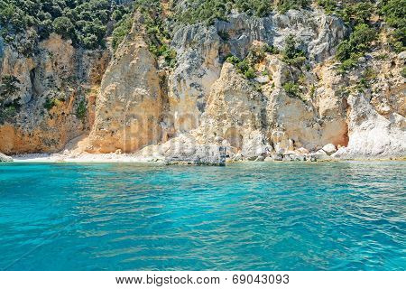 white and turquoise