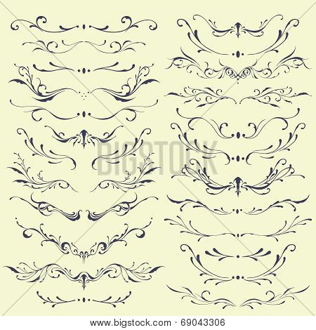 Floral divider and borders