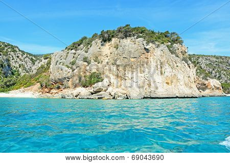 white and turquoise