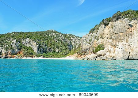 white and turquoise