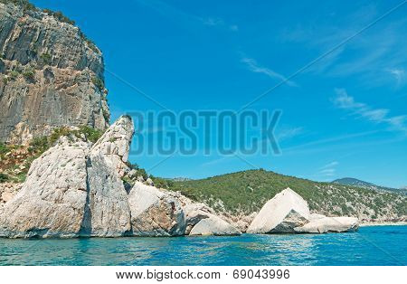 white and turquoise