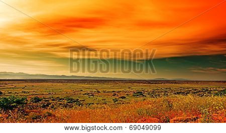 Sunset In Sardinia