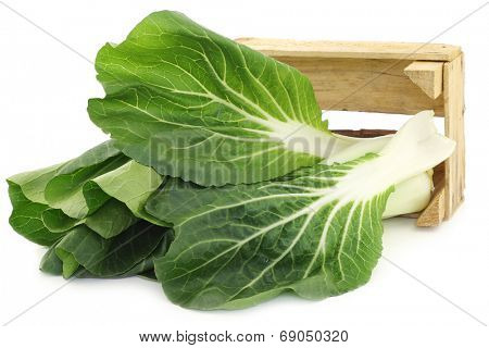 fresh chinese paksoi in a wooden crate on a white background