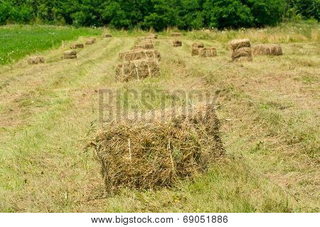 Freshly Made From Straw Bales In A Field