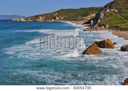 White Waves