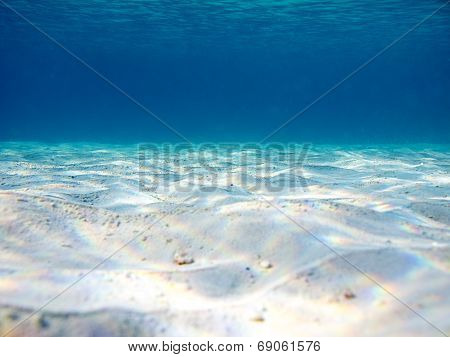 Ocean Bottom