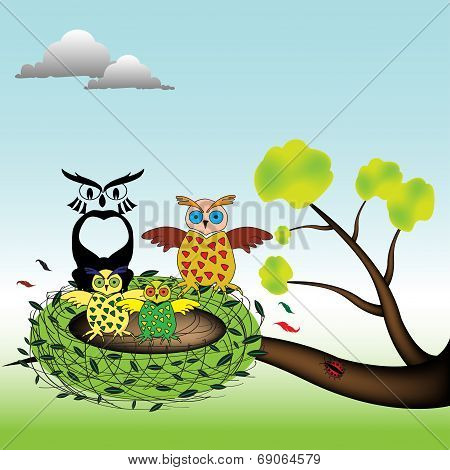 Owls in a nest